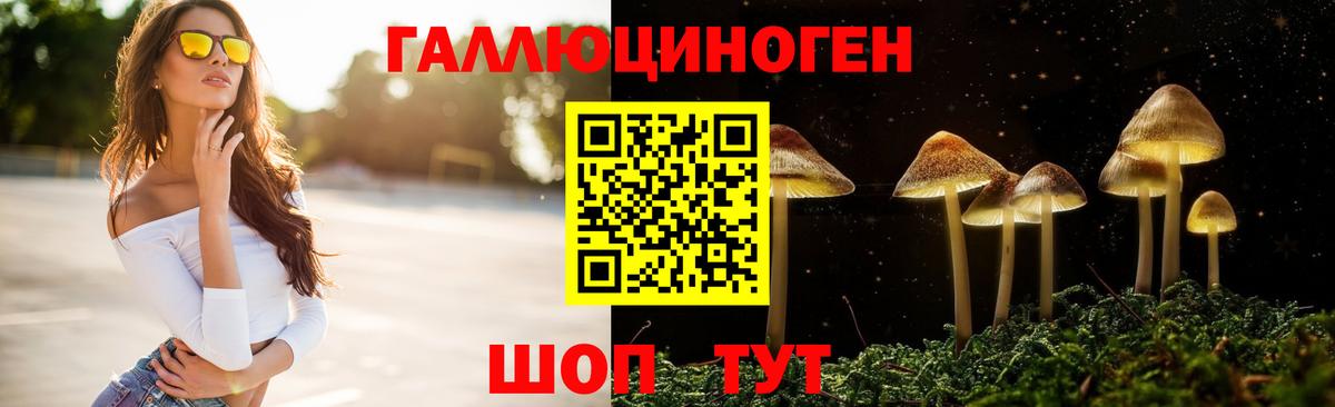 Галлюциногенные грибы мицелий Котовск
